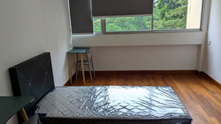 Neptune Court (D15), Apartment #447832031